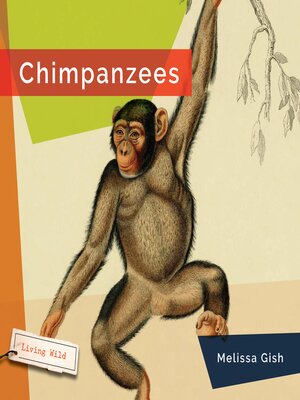 cover image of Chimpanzees